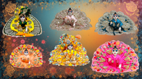 LADDU GOPAL JI POSHAK Shriposhak.in