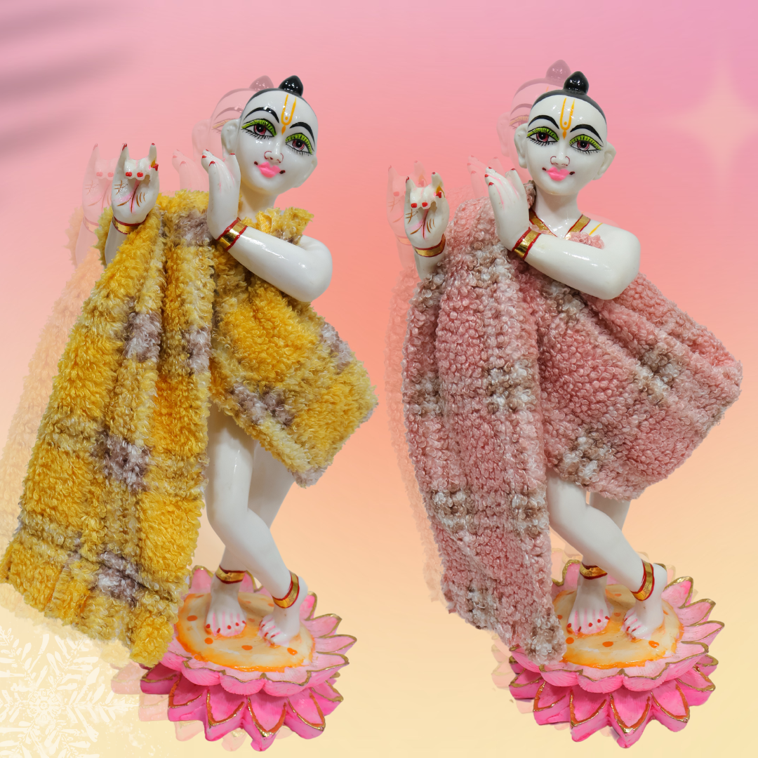 STALL FOR LADDU GOPAL JI SP-F14