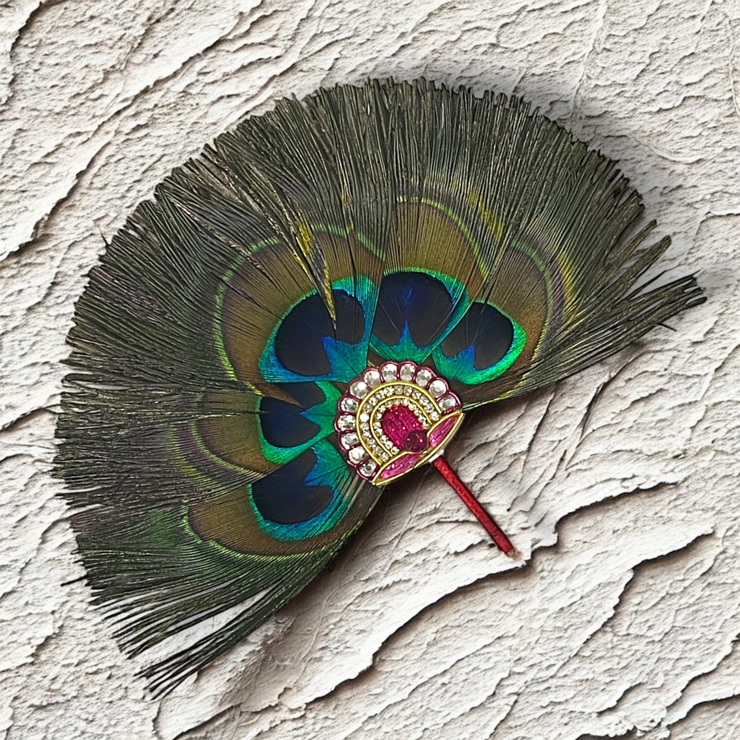 Mor Pankh Pankha with Jardogi Work