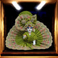 Premium 2 Piece Designer Laddu Gopal Ji Poshak SP-H13
