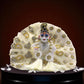✨ Janmashtami Special Premium Laddu Gopal Poshak – SP-H03