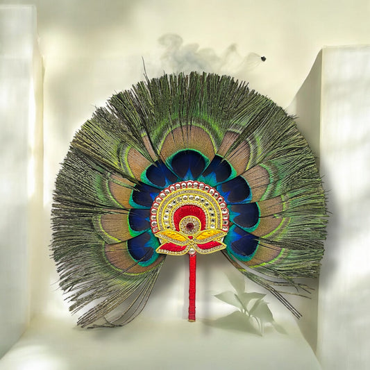 Mor Pankh Pankha with Jardogi Work