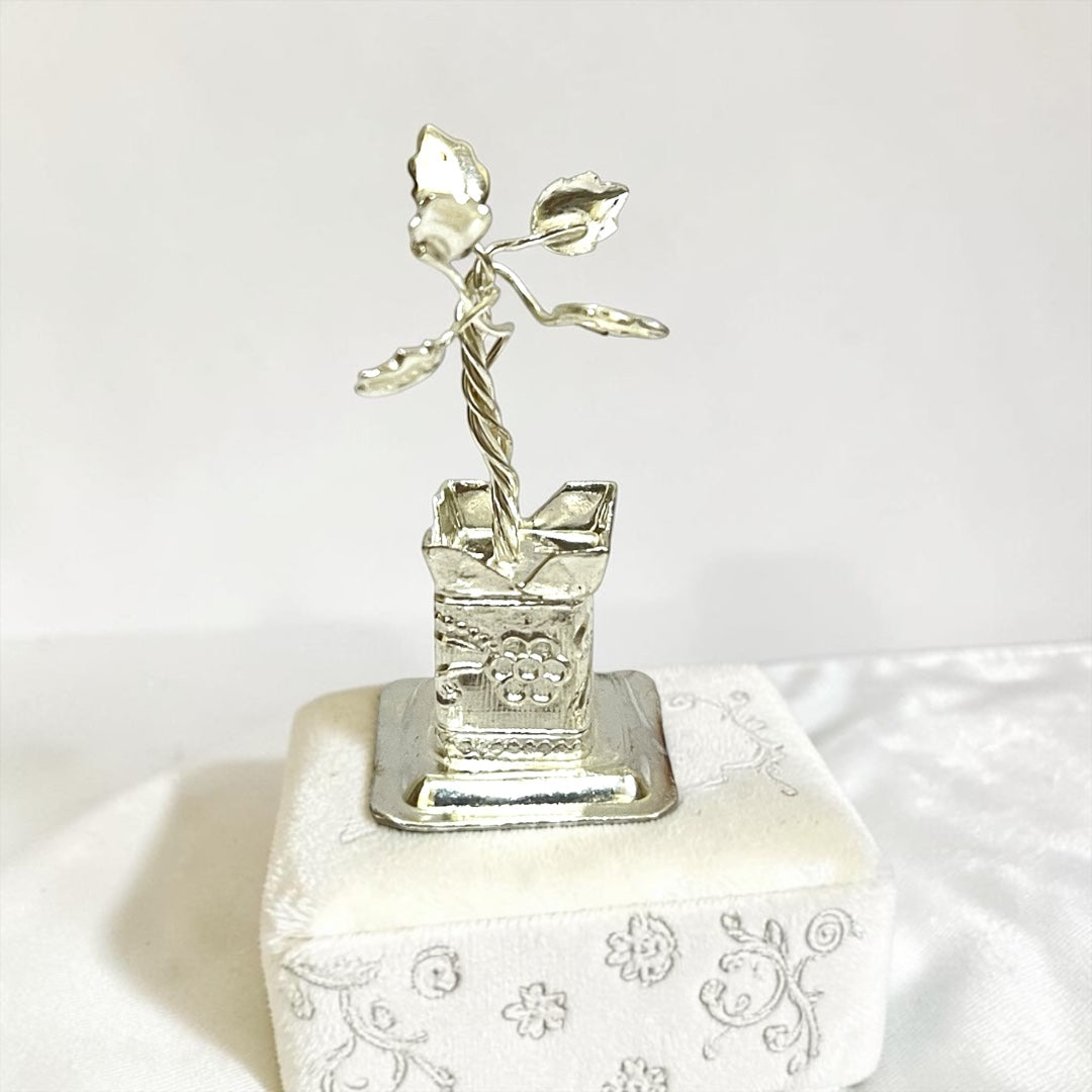 Tulsi - front view