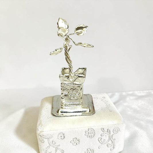 Tulsi - front view
